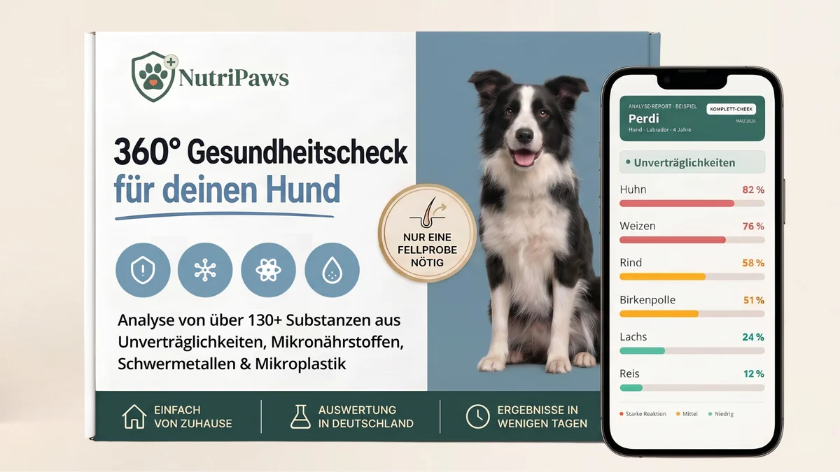 NutriPaws Komplett Check Verpackung mit Hund - Haaranalyse für Haustiere: Unverträglichkeiten, Mikronährstoffe, Schwermetalle, Mikroplastik